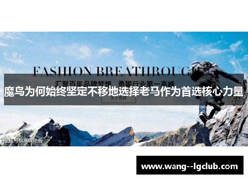 魔鸟为何始终坚定不移地选择老马作为首选核心力量